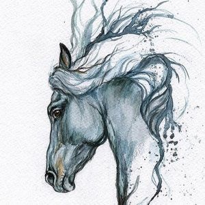 Meet your Posher, Dezirae